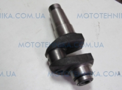 ������� ������� ��������� ����