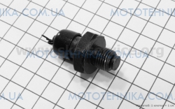 ������ �������� �����