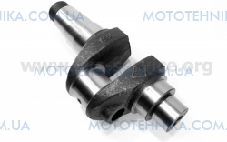 �������� ����� R195NM