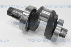 ������� + ��������� � ���� R195NM