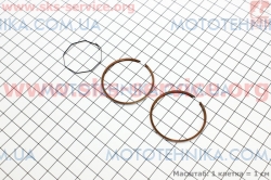 ʳ Suzuki AD50 41 STD (331504)