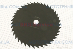 ͳ� ������ 40� (202044)