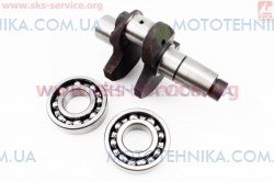 �������� � ����� D170F (606048)