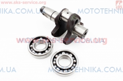 �������� � ����� D170F (606048)