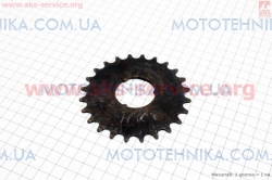 ǳ��� ����� 24T �� 