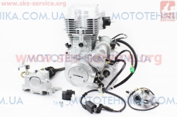   +  YG   CG-200cc Viper-ZUBR (307019)