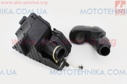     Honda CH250 (339425)