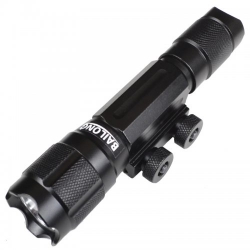 ˳     Bailong Q90 (Cree XM-L T6, 800 , 1 , 118650), 