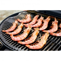     O-GRILL 600T,   -