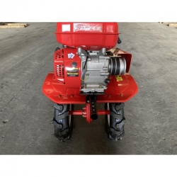   Forte 80-G3 NEW  8\