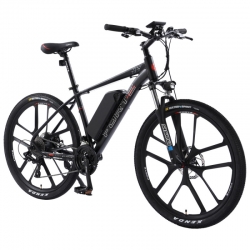Електровелосипед Forte Matrix 18