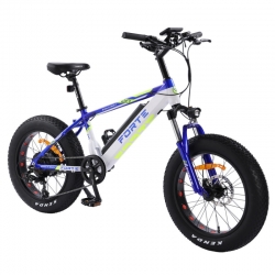 Електровелосипед Forte Rider 14