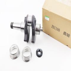  ZS1100 +  +  ( ) (210257)