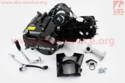 ������ �������� � ���� 110��� (ALPHA) - "��������" (������� ��������� ������), ������ (307125)