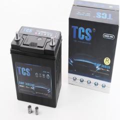  12V36Ah SMF36B20R  (L197*W129*H205/224mm) (204527)