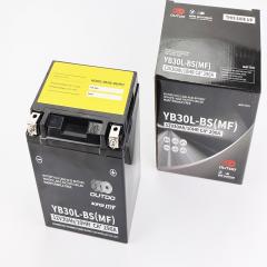 ���������� 12V30�h YB30L-�S(MF) ��������� (L168*W132*H192mm) (211244)