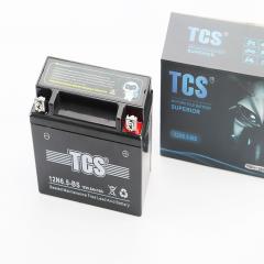  12V6,5Ah 12N6,5-BS GEL (L138*W66*H101mm) (348248)