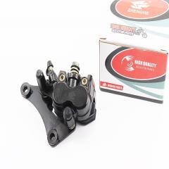 ZS200 250GS     (999239)