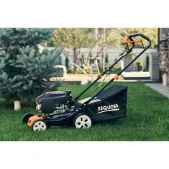   SEQUOIA SPLM4000 (SPLM4000).