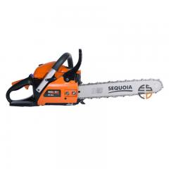   SEQUOIA SPC3816 (SPC3816)