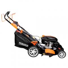   SEQUOIA SPLM5100 (SPLM5100)