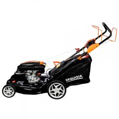   SEQUOIA SPLM5100 (SPLM5100)