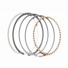 ʳ  250cc 65,5  STD ( - 0,80 ) (207937)