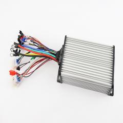  60V Cargo13 (209869)