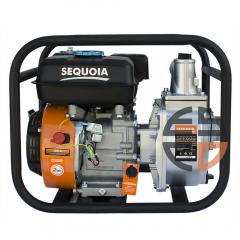      SEQUOIA SPP600 (SPP600)