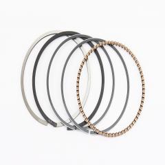 ZS200GS ʳ  67mm ( - 1,15) (207952)