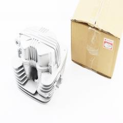   250cc-67mm ( -) (326557)