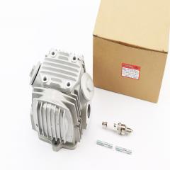 ������� ��������+�������+����������+������ � ����� 110cc (52,4��) (998310)