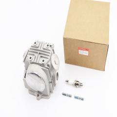 ������� ��������+�������+����������+������ � ����� 70cc (47��) (998312)