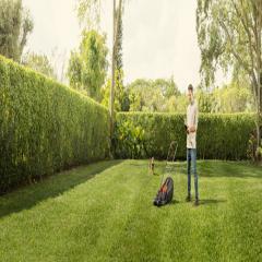 ������������� ���������� BLACK + DECKER BEMW351 (BEMW351)