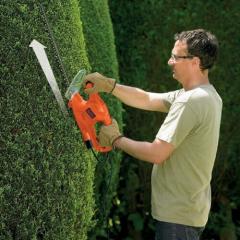   BLACK + DECKER BEHT201 (BEHT201)