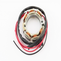   ZS1100 (610053)