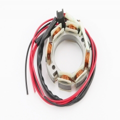   ZS1100 (610053)