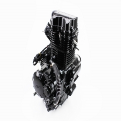     CGT-250cc ( ) (307121)