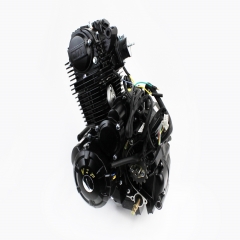 Двигун мотоциклетний у зборі CBB-250cc (з балансувальним валом) (307131)