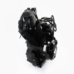 Двигун мотоциклетний у зборі CBB-250cc (з балансувальним валом) (307131)