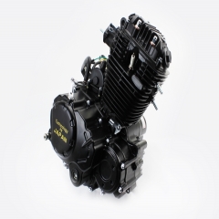 Двигун мотоциклетний у зборі CBB-250cc (з балансувальним валом) (307131)