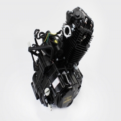 Двигун мотоциклетний у зборі CBB-250cc (з балансувальним валом) (307131)