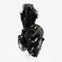    CG-250cc Viper-ZUBR (   -  ) (307133)