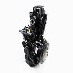     CG-250cc Viper-ZUBR (   -  ) (307133)