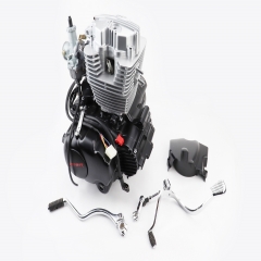     CGB-200cc (164FMLR) +  (307152)