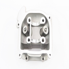  +   47-80cc (309434)