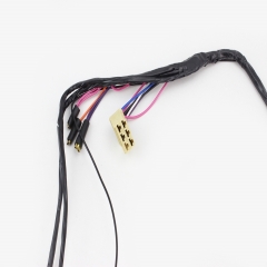   12V (340010)