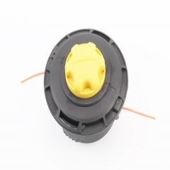   (  ),  