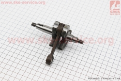 ������� 1E40F (202056)