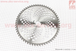 ͳ� ������ 60��255�� �������� ���� (202429)